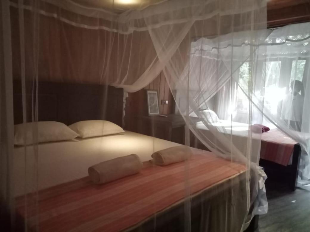 Piumi House Guest House Диквела Екстериор снимка